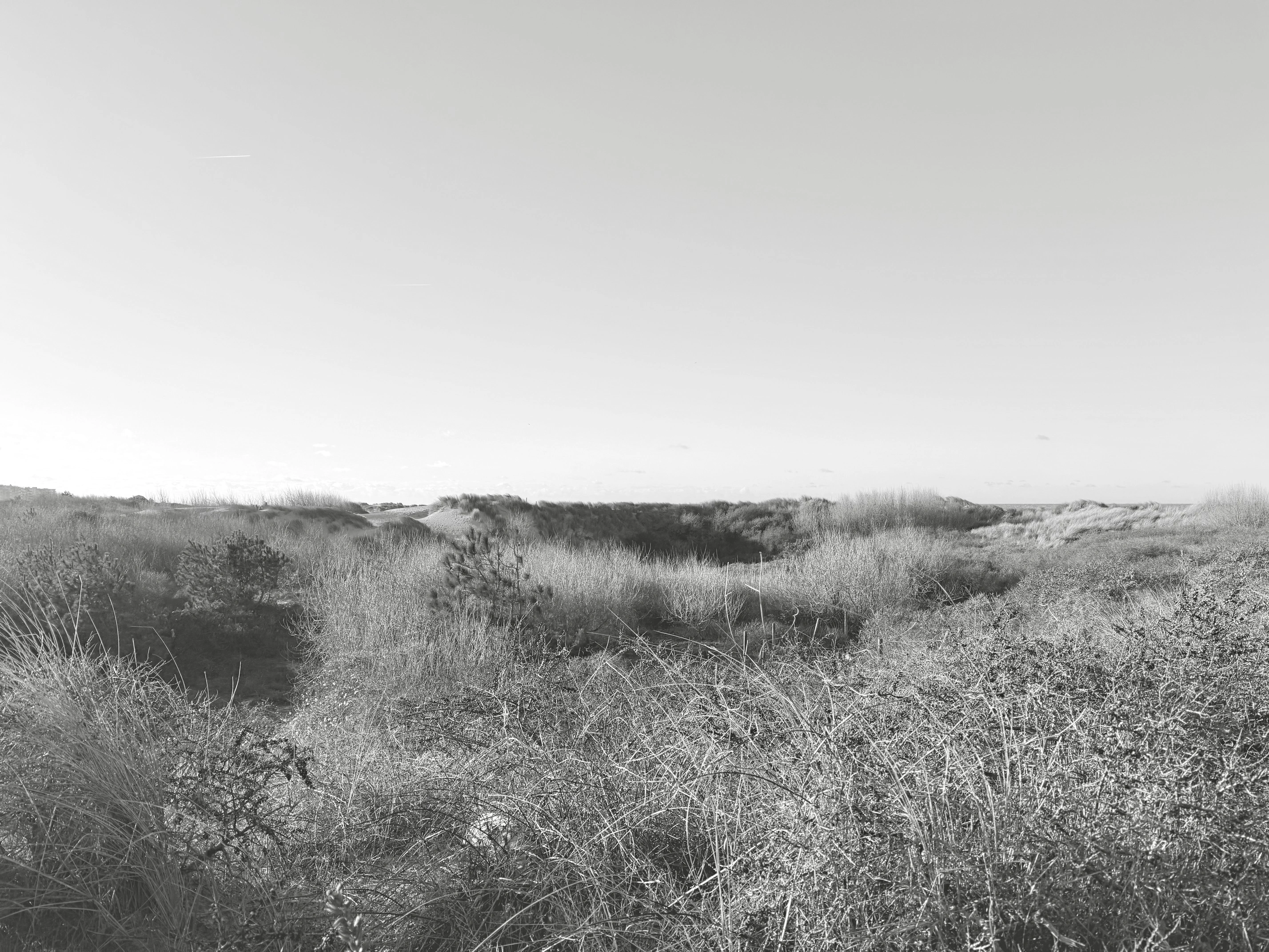 biographe pas-de-calais / Côte d'Opale